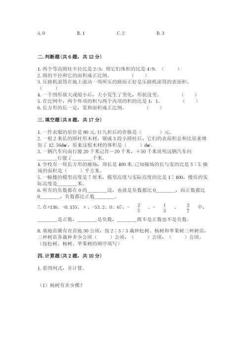 君山区六年级下册数学期末测试卷审定版.docx