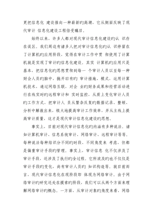 现代审计信息化问题专题研究报告.docx