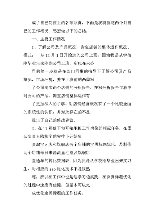 网络销售试用期工作总结