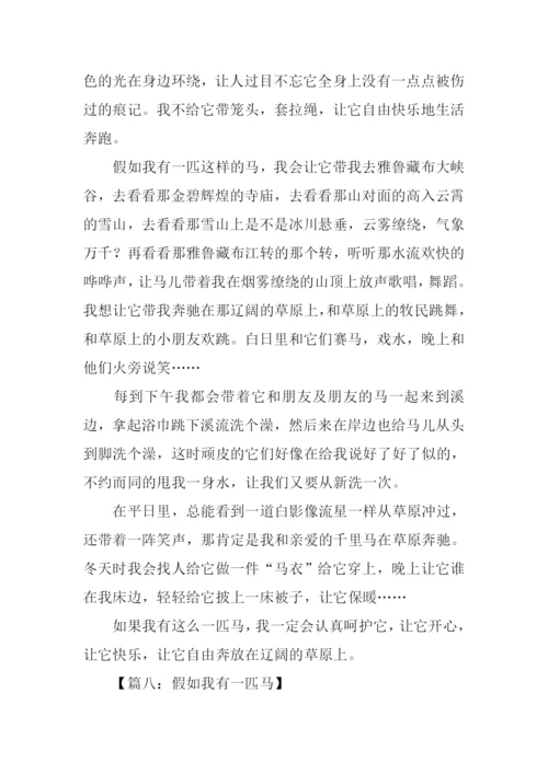 假如我有一匹马想象作文.docx