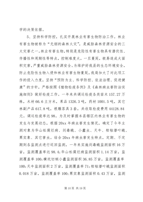 林业局工作总结暨工作计划.docx