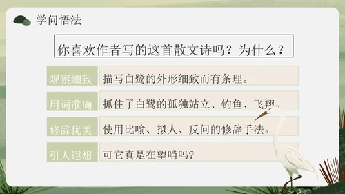 部编版语文五年级上册《白鹭》课件