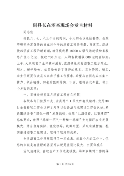 副县长在沼畜现场会发言材料.docx