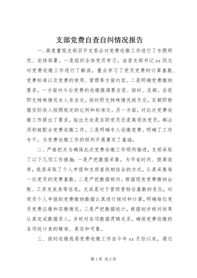 支部党费自查自纠情况报告 (2).docx