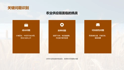 农业供应链的创新与优化