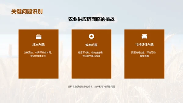 农业供应链的创新与优化
