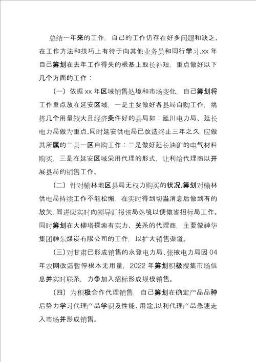 销售个人工作总结3000字