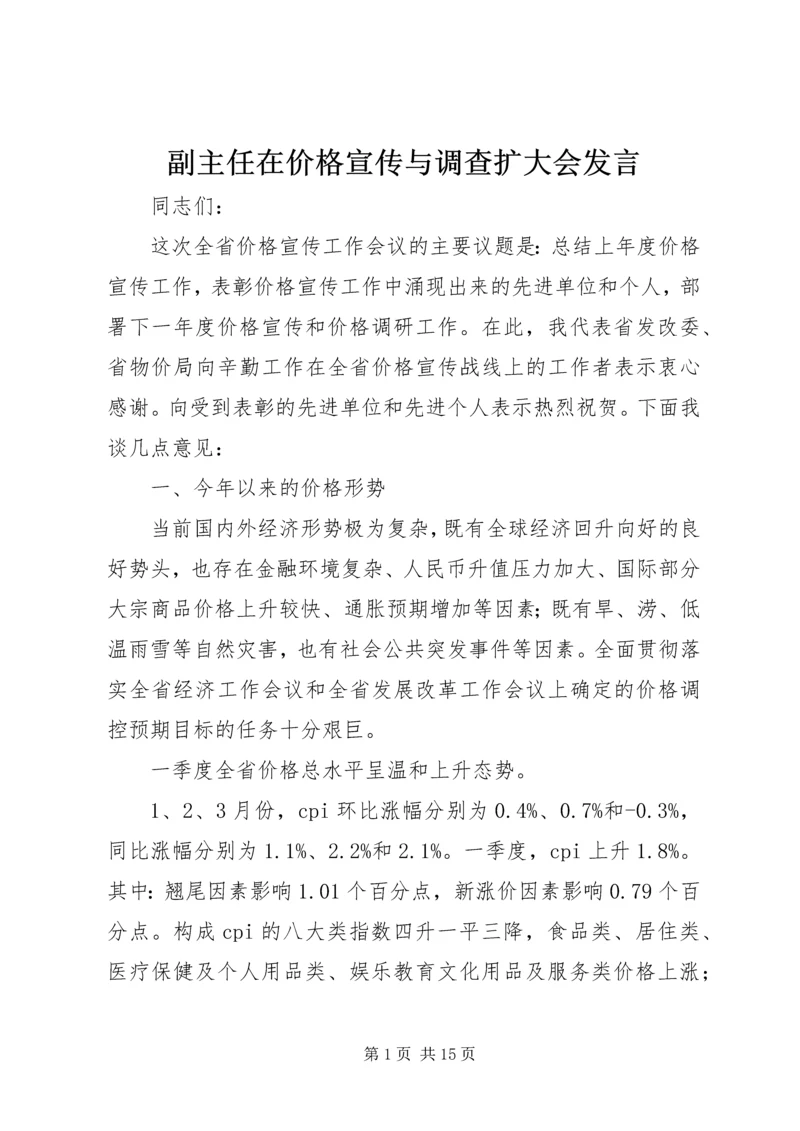 副主任在价格宣传与调查扩大会发言.docx