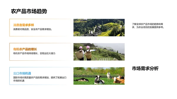 农业项目进展与展望