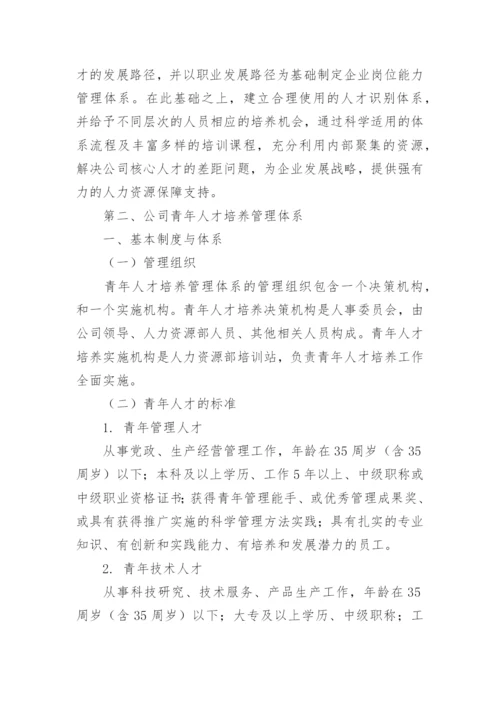 人才培养计划实施方案.docx