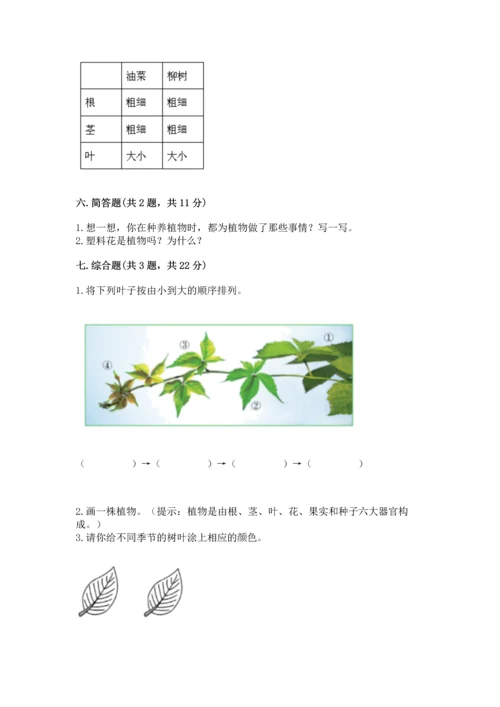 教科版科学一年级上册第一单元《植物》测试卷1套.docx