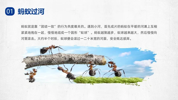 蓝色复古团结友善PPT课件主题班会