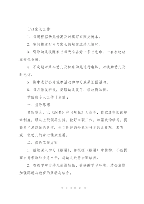 学前班个人工作计划.docx