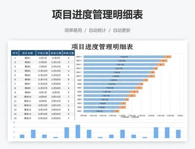 项目进度管理明细表