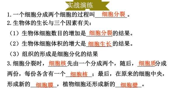 人教版（2024）七年级上册1.3.1细胞通过分裂产生新细胞 课件(共19张PPT)