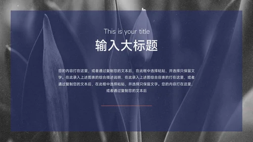 红蓝互联网Web电商促销策划PPT模板