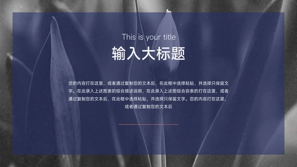 红蓝互联网Web电商促销策划PPT模板