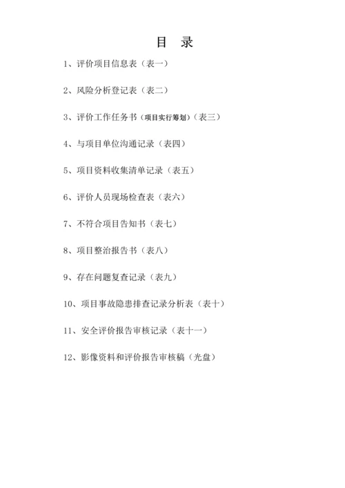安全评价过程控制实施标准细则.docx