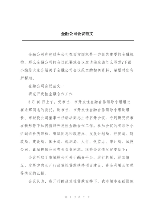 金融公司会议范文.docx