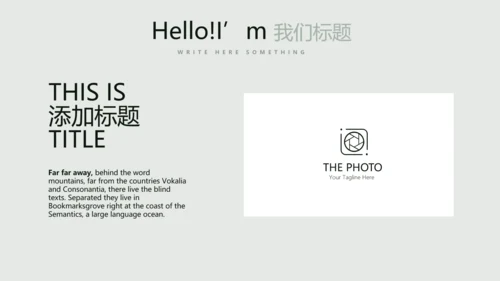 文艺小清新公司产品介绍宣传通用PPT动态模板