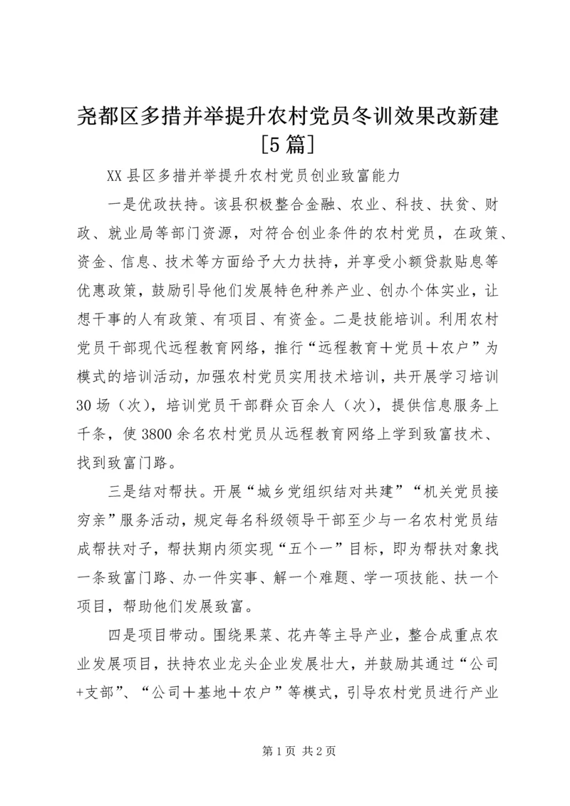 尧都区多措并举提升农村党员冬训效果改新建[5篇] (2).docx