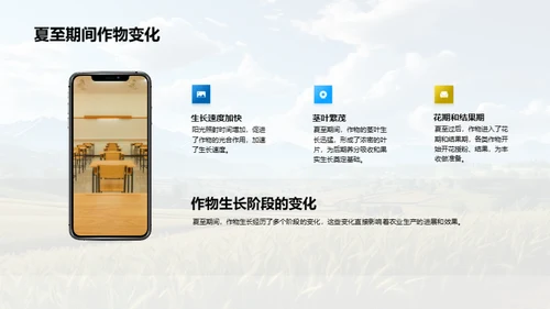 夏至影响下的农业