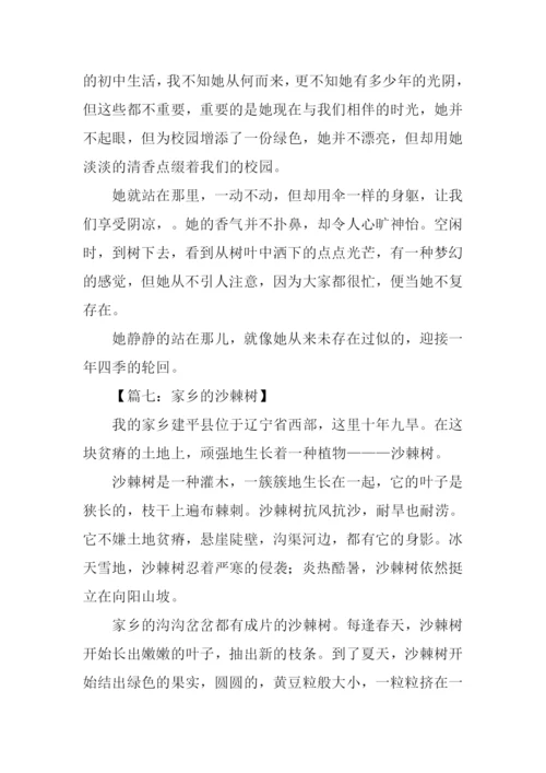 有关树的作文.docx