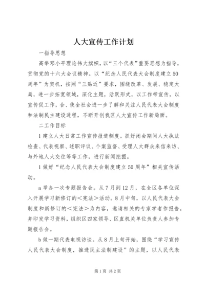 人大宣传工作计划.docx