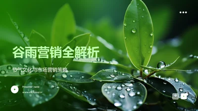 谷雨营销全解析