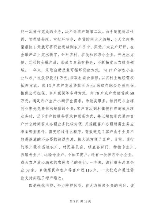 村镇银行年终总结及计划范例.docx