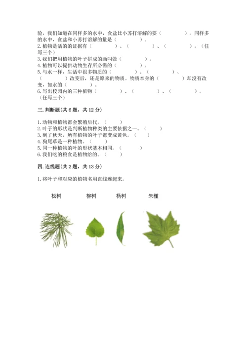 教科版科学一年级上册第一单元《植物》测试卷（word）.docx