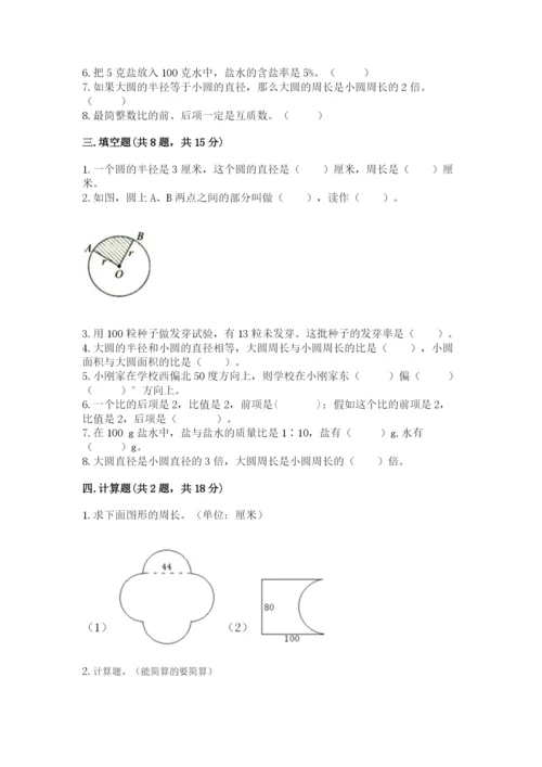 人教版六年级上册数学期末测试卷含答案【综合题】.docx