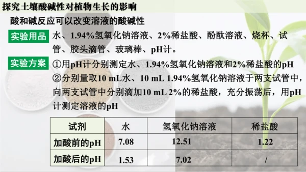 跨学科实践活动9  探究土壤酸碱性对植物生长的影响课件(共33张PPT)