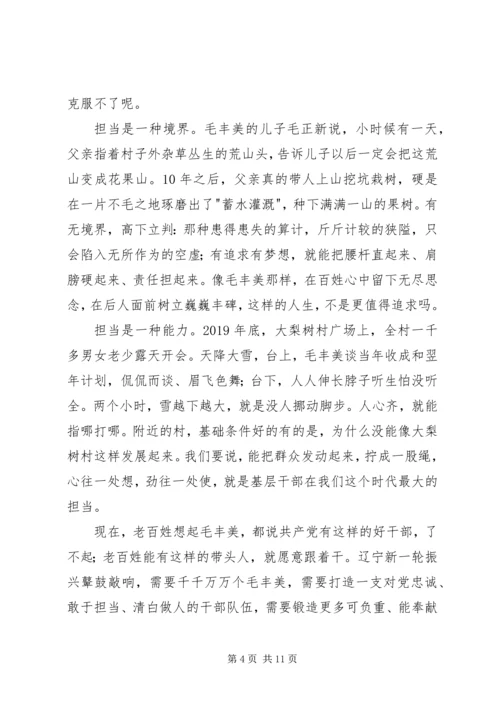 学习毛丰美先进事迹心得体会6篇 (2).docx