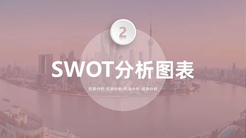 莫兰迪茶色商务SWOT分析培训PPT模板