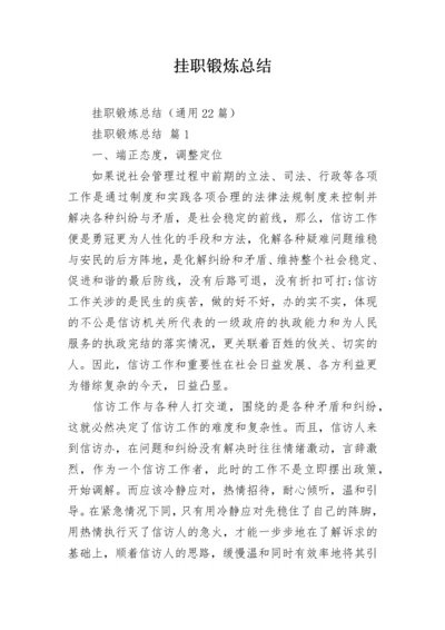 挂职锻炼总结.docx