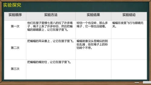 6 夜间飞行的秘密（课件）
