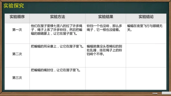 6 夜间飞行的秘密（课件）