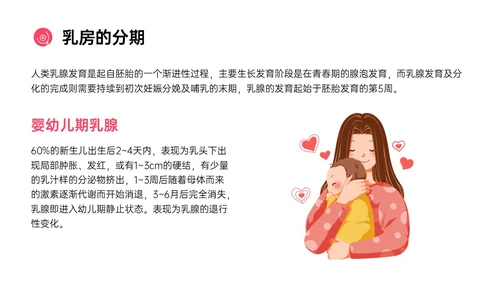粉红色简约风乳房护理相关知识培训PPT课件乳腺