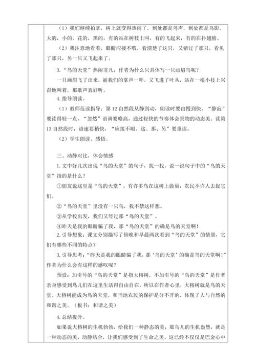 22 鸟的天堂   第二课时教学设计
