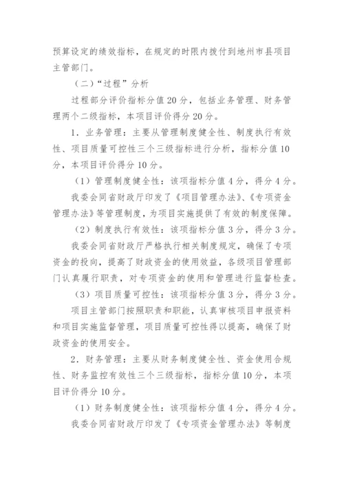 项目绩效目标完成情况自评报告.docx