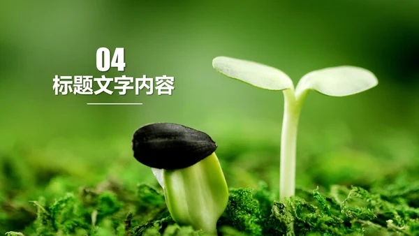 开场视频片头小苗生长发芽开花ppt模板