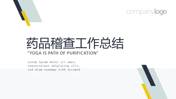 药品稽查工作总结动态PPT
