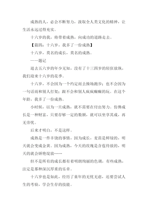 十六岁我多了一份什么作文.docx