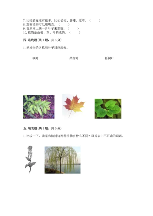 教科版一年级上册科学期末测试卷附完整答案（夺冠系列）.docx