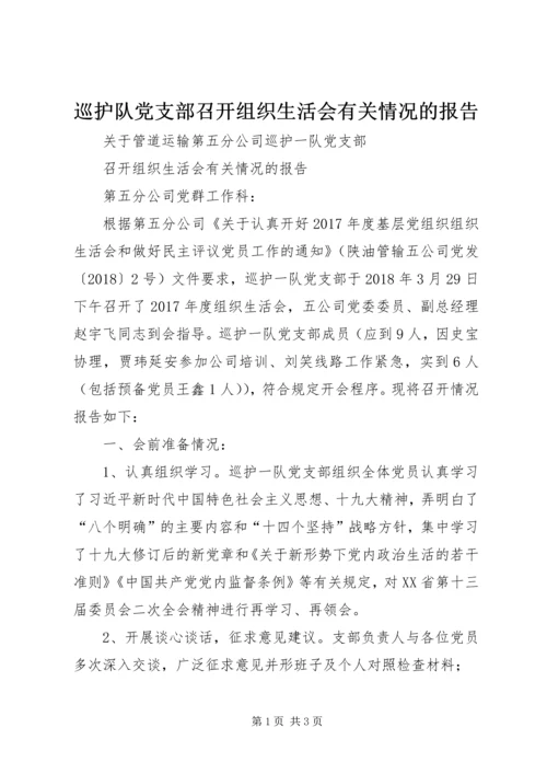 巡护队党支部召开组织生活会有关情况的报告.docx