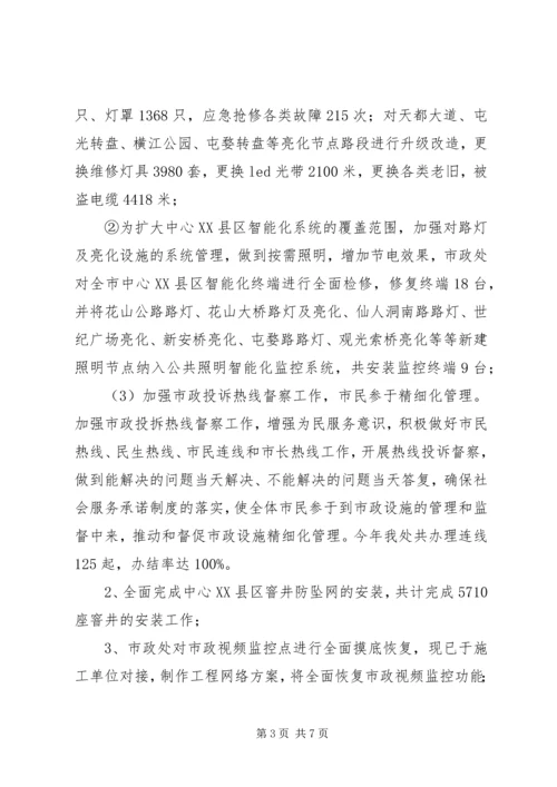 市政处工作总结及XX年工作计划.docx