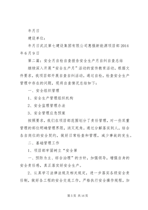 安全检查自检自查评估报告(6月).docx