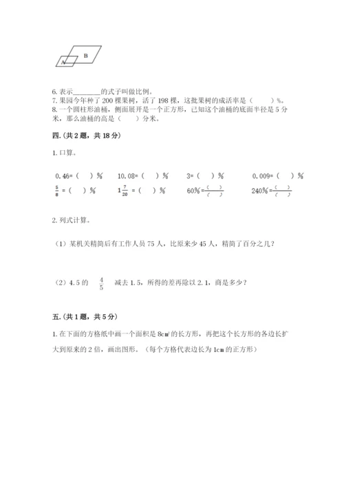 人教版数学六年级下册试题期末模拟检测卷含答案（夺分金卷）.docx