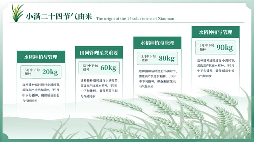 小满中国风教育教学通用模板PPT模板